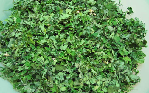 1. moringa dry leaves.jpeg